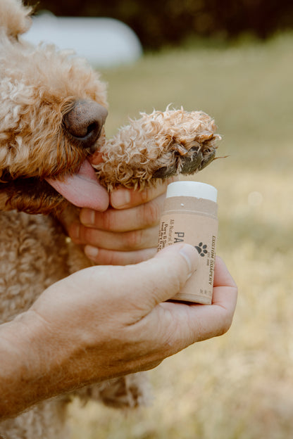 Paw Balm