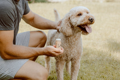 Paw Balm