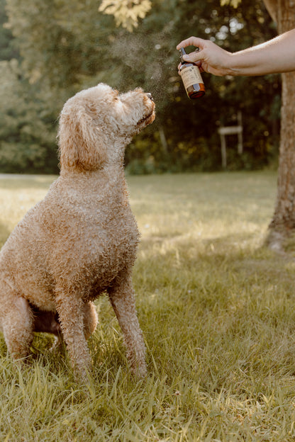 Dog Bug Spray
