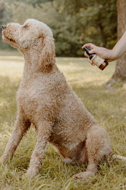 Dog Bug Spray