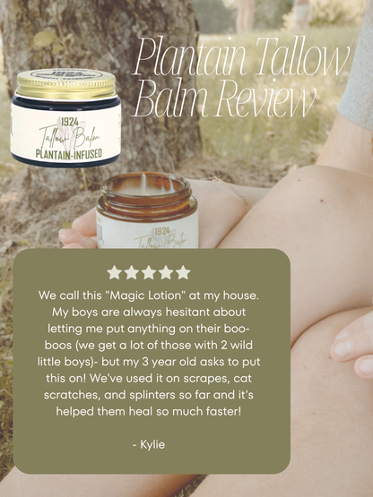 Plantain Tallow Balm