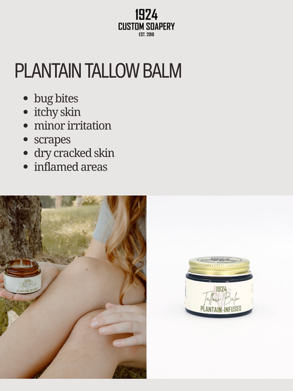 Plantain Tallow Balm