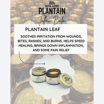 Plantain Tallow Balm