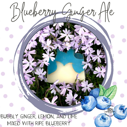 Blueberry Ginger Ale