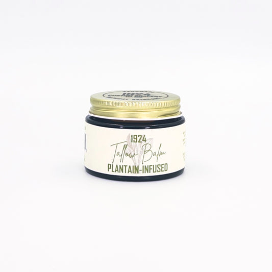 Plantain Tallow Balm